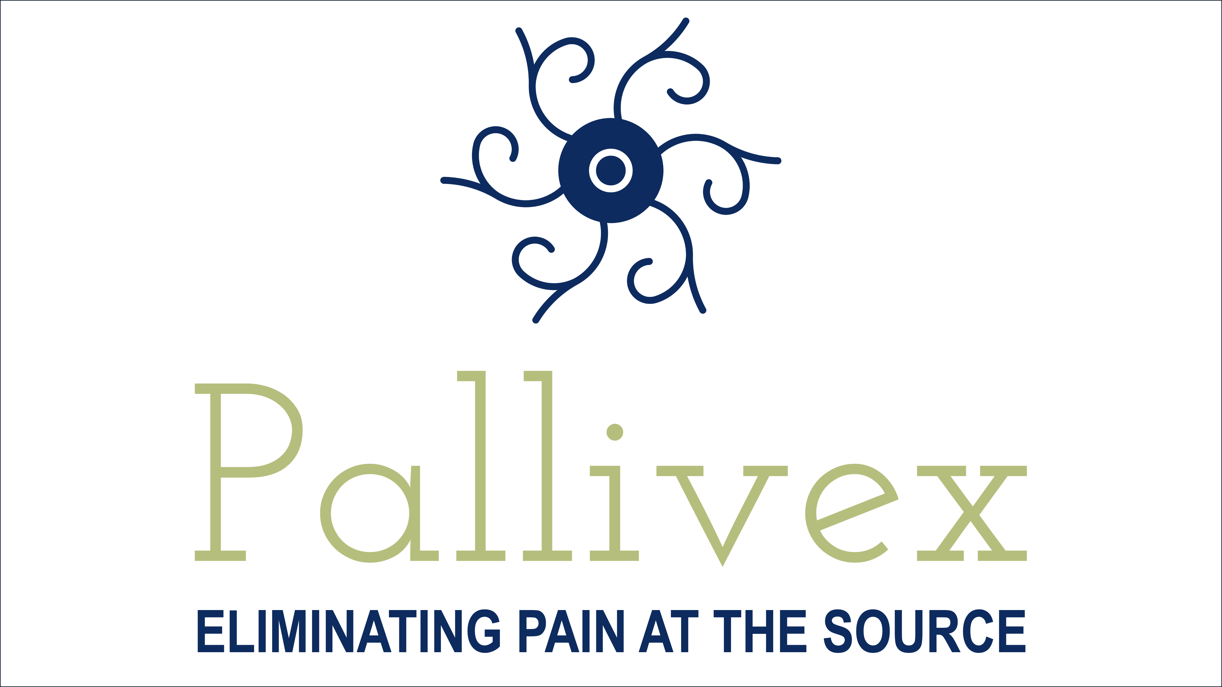 Pallivex-Logo